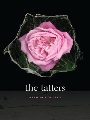 cover image of The Tatters